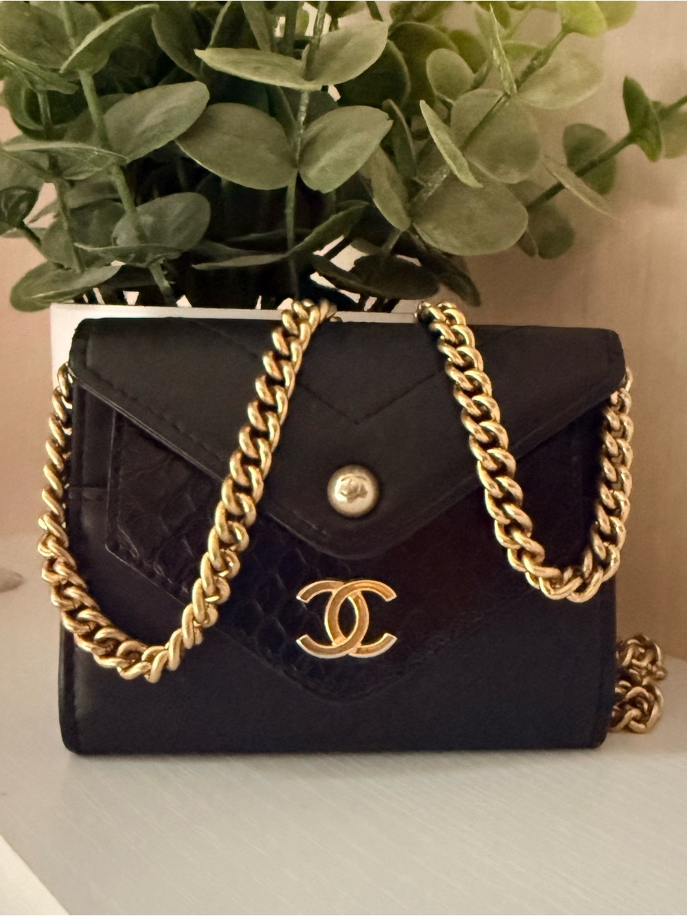 Calfskin Elaphe Double Chevron Card Case On Chain Black Leather Pyhton